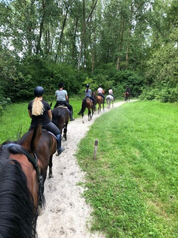 115967063 3132637293438105 3428429363442203745 n