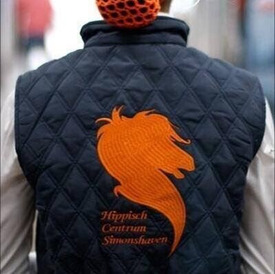 60950940 2236072376427939 3289723955488751616 n