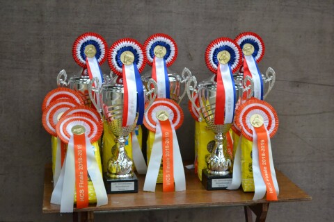 66271309 2308296162538893 2027191393679572992 n