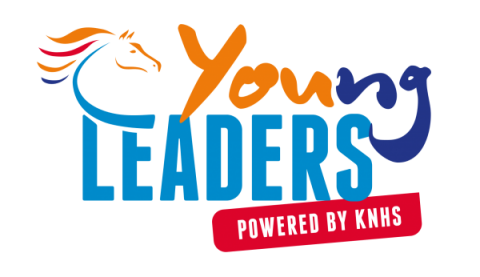 Logo young leaders 2016 600x346.480x0