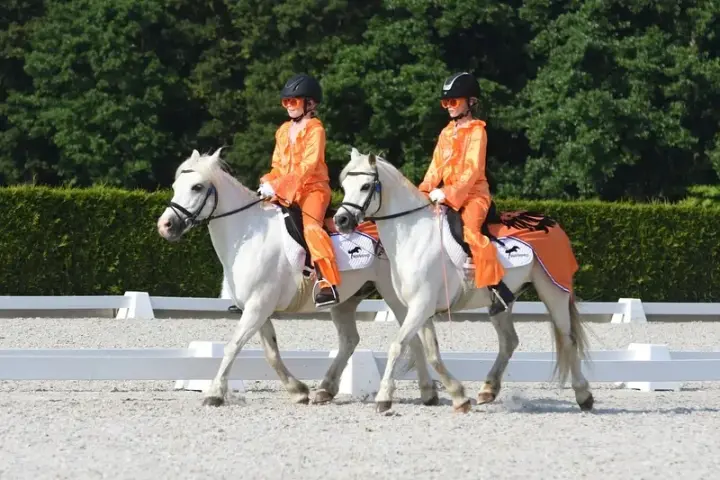 Pasdedeux