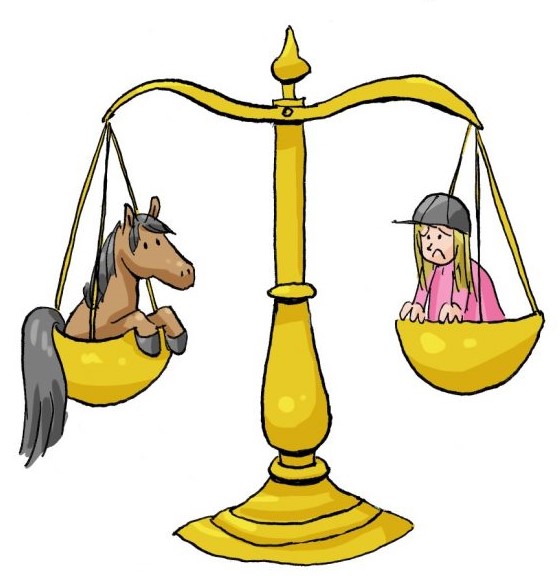 Poll weegschaal nieuw Large 1024x699 1