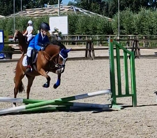 Screenshot 20220807 144522 Gallery