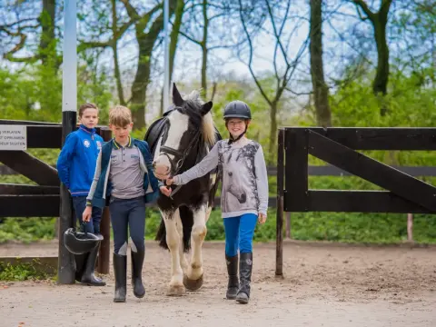 Sk knhs fnrs maneged 29